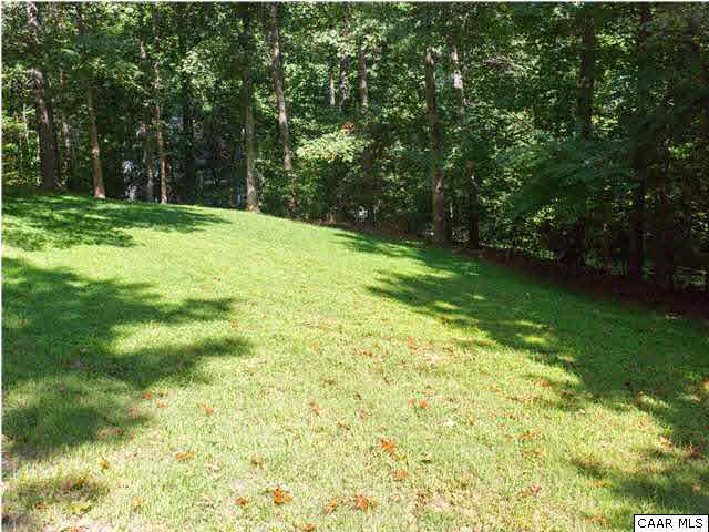 89 West Daffodil Road Ruckersville, VA 22968 - Photo 22 of 22 a view of a grassy field with trees