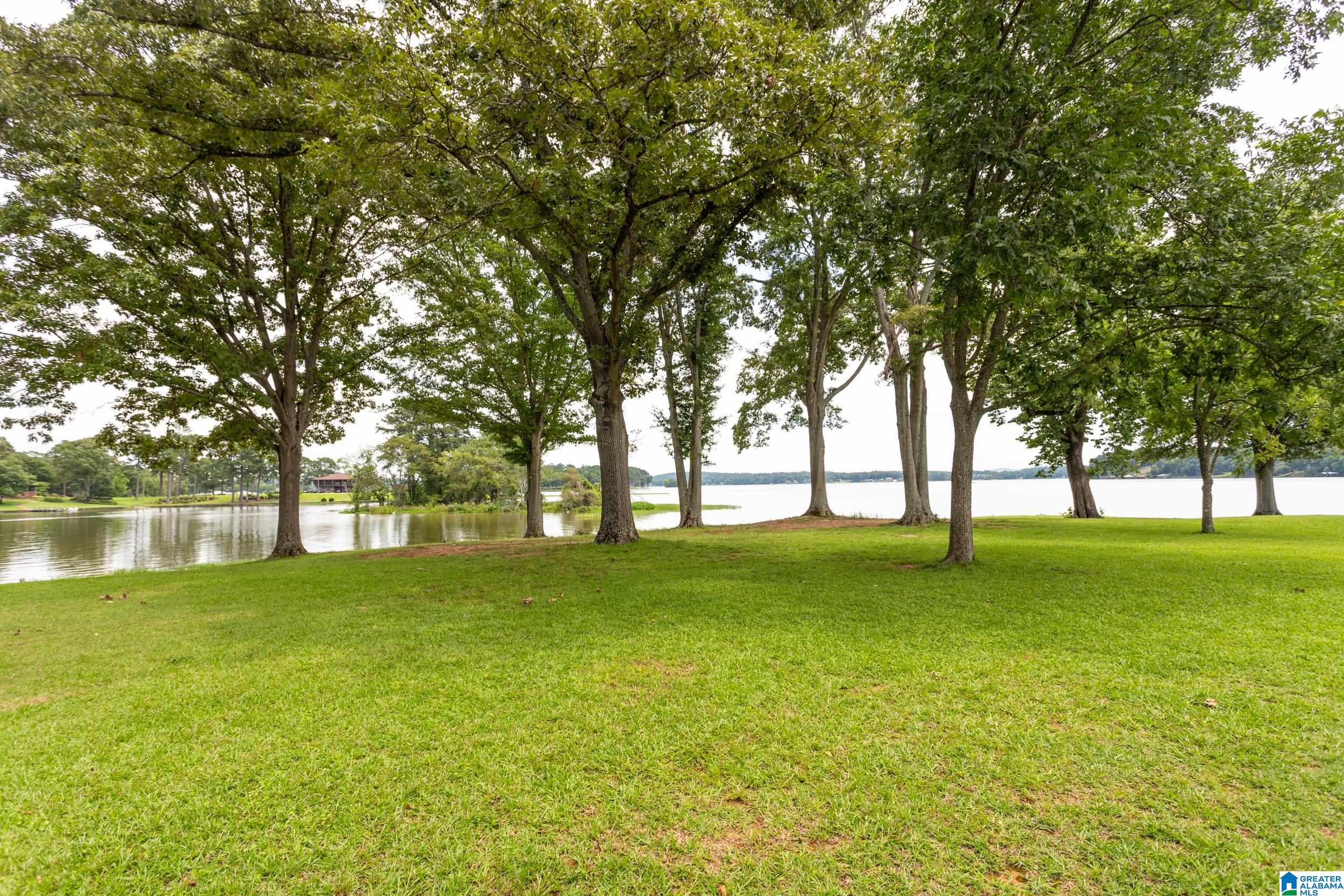 141 Lindsay Road Lincoln, AL 35096 - Photo 48 of 69