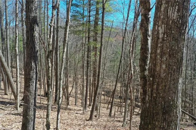 $37,900 | 240 Olde Stone Drive, Lansing, NC 28643