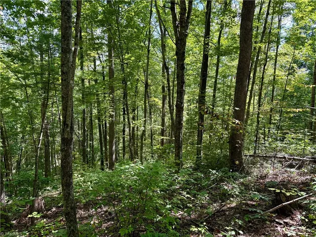 $37,900 | 240 Olde Stone Drive, Lansing, NC 28643