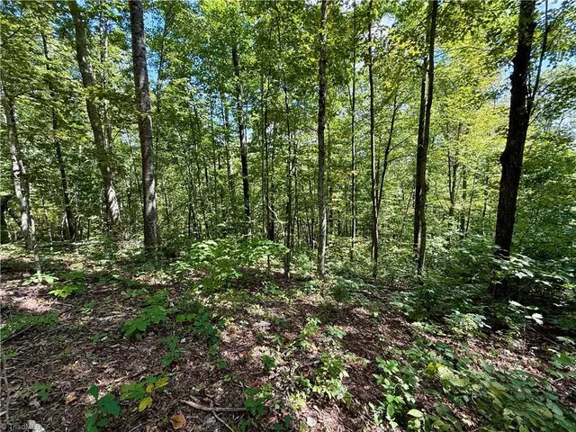 $37,900 | 240 Olde Stone Drive, Lansing, NC 28643