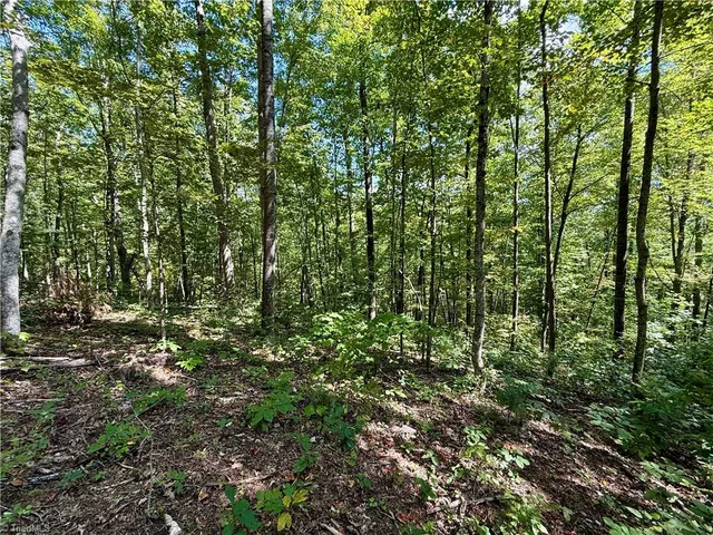 $37,900 | 240 Olde Stone Drive, Lansing, NC 28643