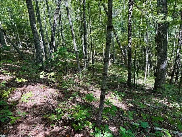 $37,900 | 240 Olde Stone Drive, Lansing, NC 28643