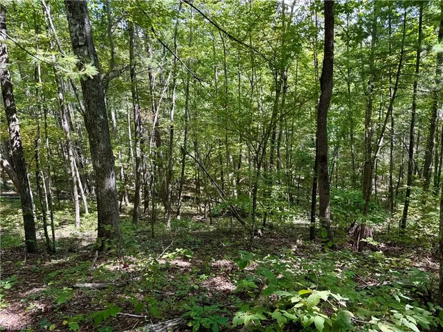 $37,900 | 240 Olde Stone Drive, Lansing, NC 28643