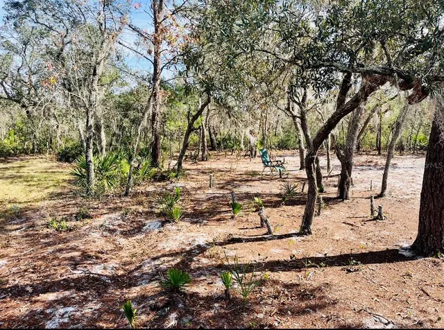 a view of snow on the road