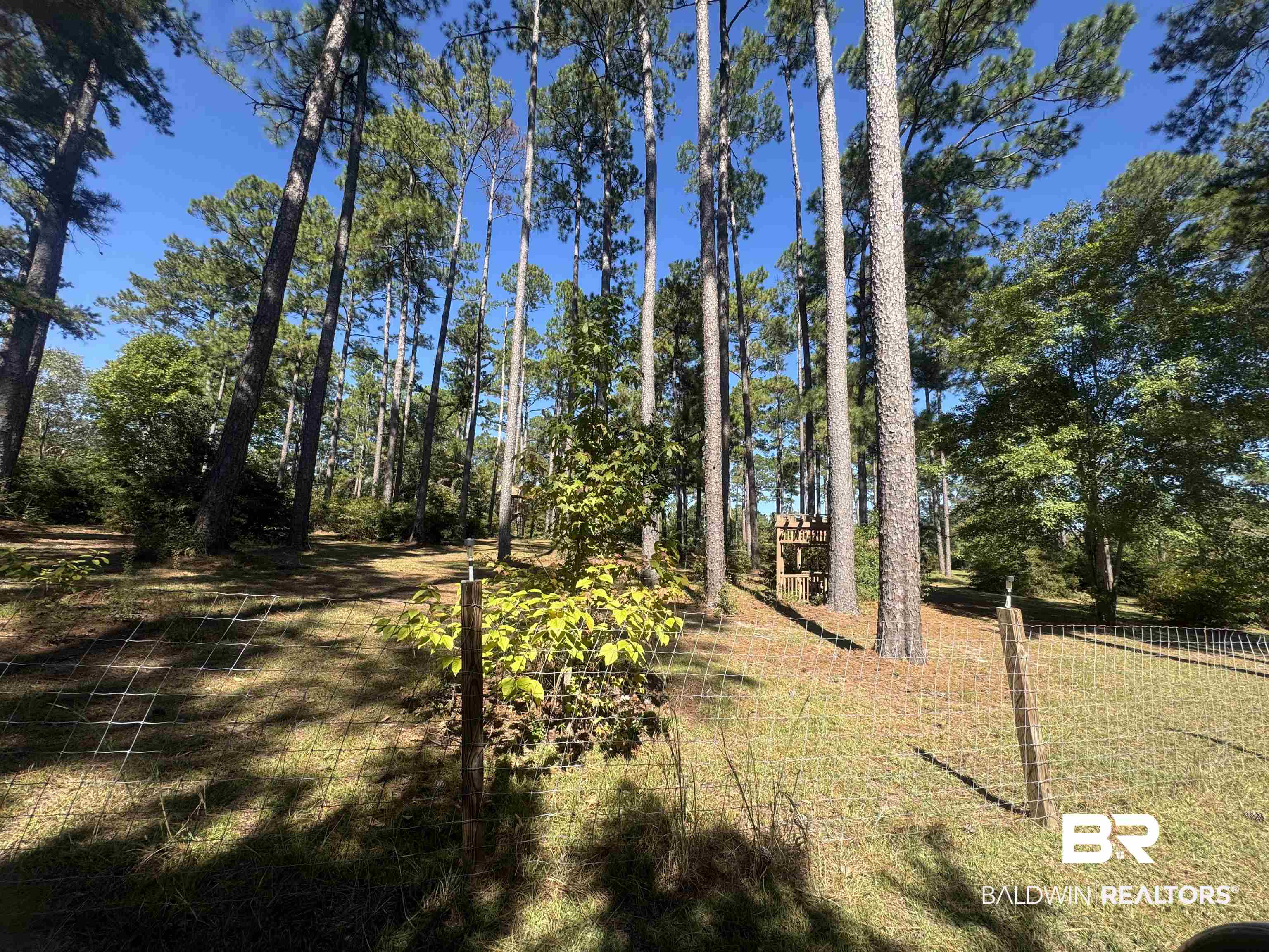 3097 Old Castleberry Road Brewton, AL 36426 - Photo 28 of 49 View of yard