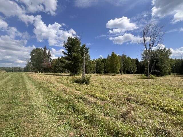 Lot 3 Off New Limerick Road Houlton, ME 04730 - Photo 26 of 30 IMG_2093