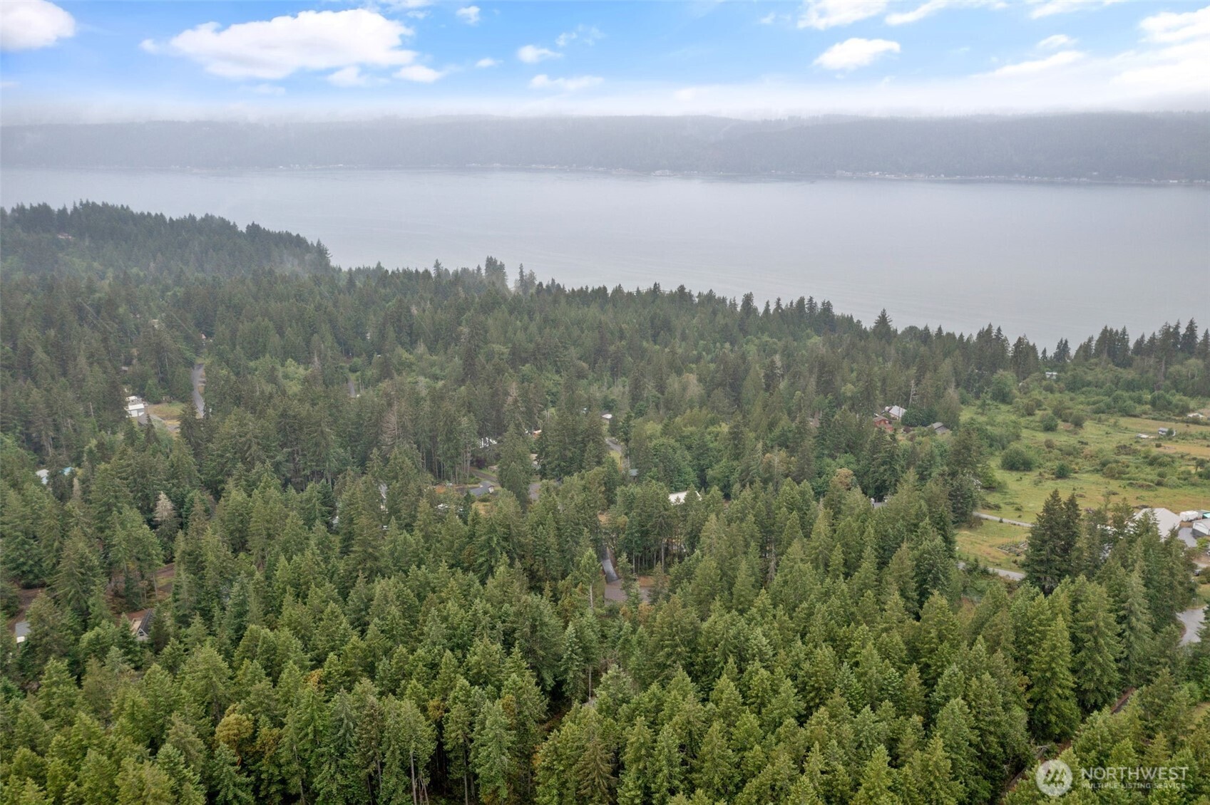 100 East Twanoh Heights Road South Belfair, WA 98528 - Photo 39 of 40 a view of a city with lush green forest