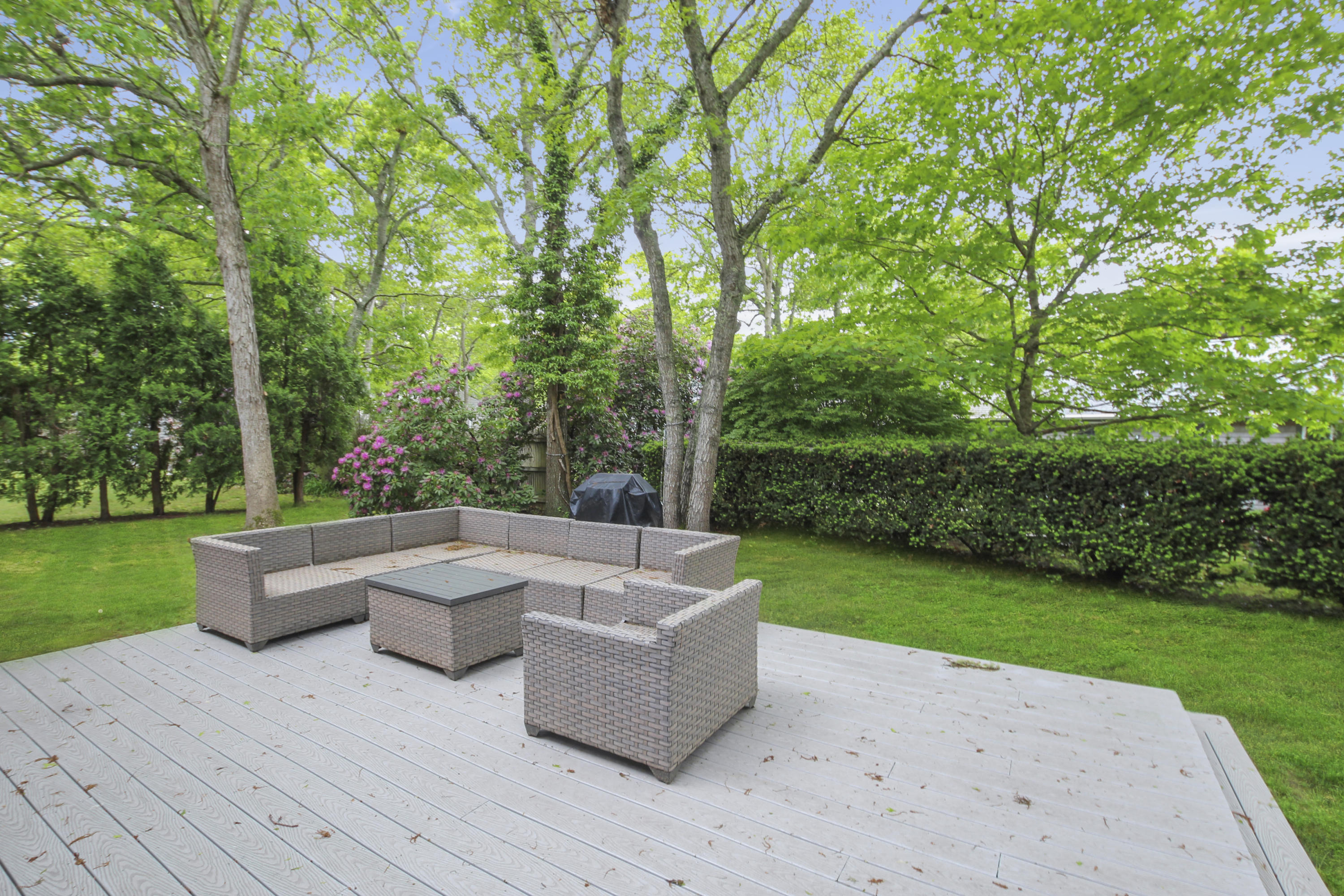 77 Farm Hill Road Centerville, MA 02632 - Photo 20 of 20 Backyard