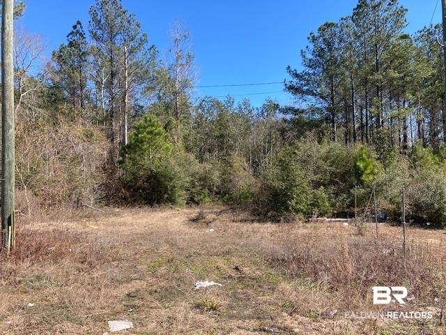 22000-block Highway 31 Flomaton, AL 36441 - Photo 7 of 20