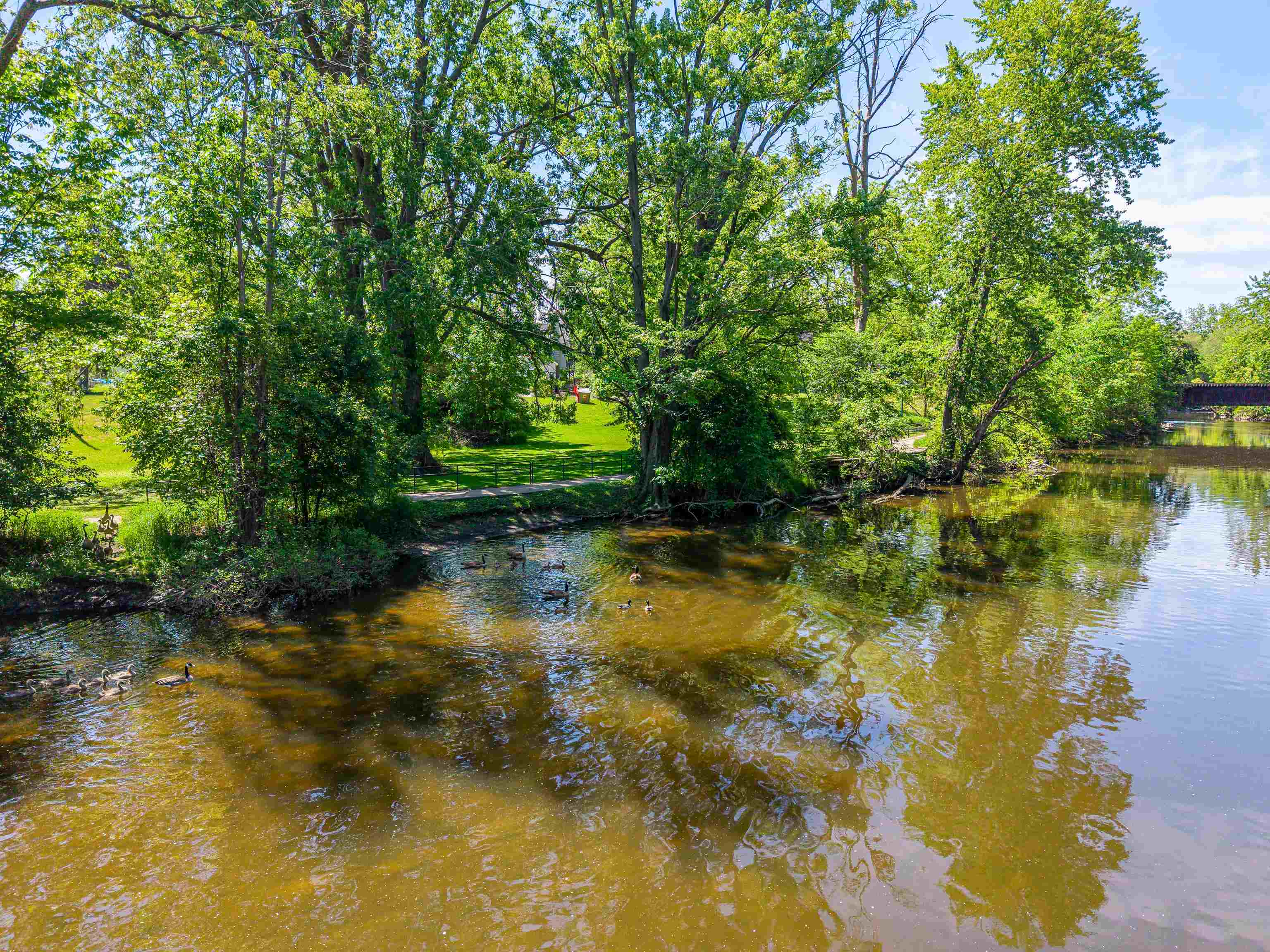 329 Ely Street Alma, MI 48801 - Photo 63 of 76