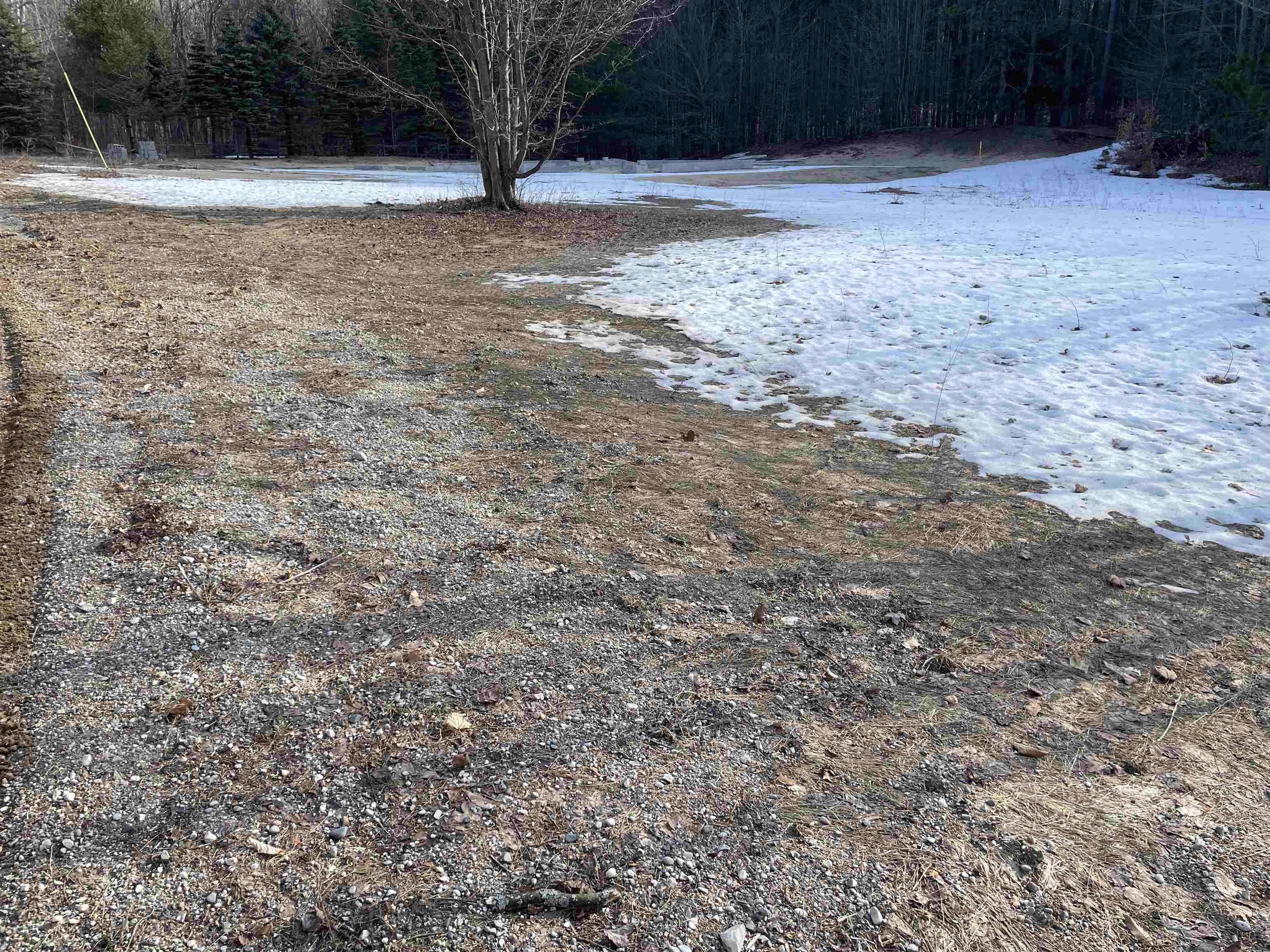 0 Yosemite Road Cadillac, MI 49601 - Photo 3 of 8