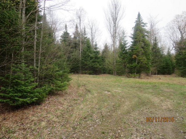 7597 State Rte 3 Vermontville, NY 12989 - Photo 5 of 6 Gallery Image 5
