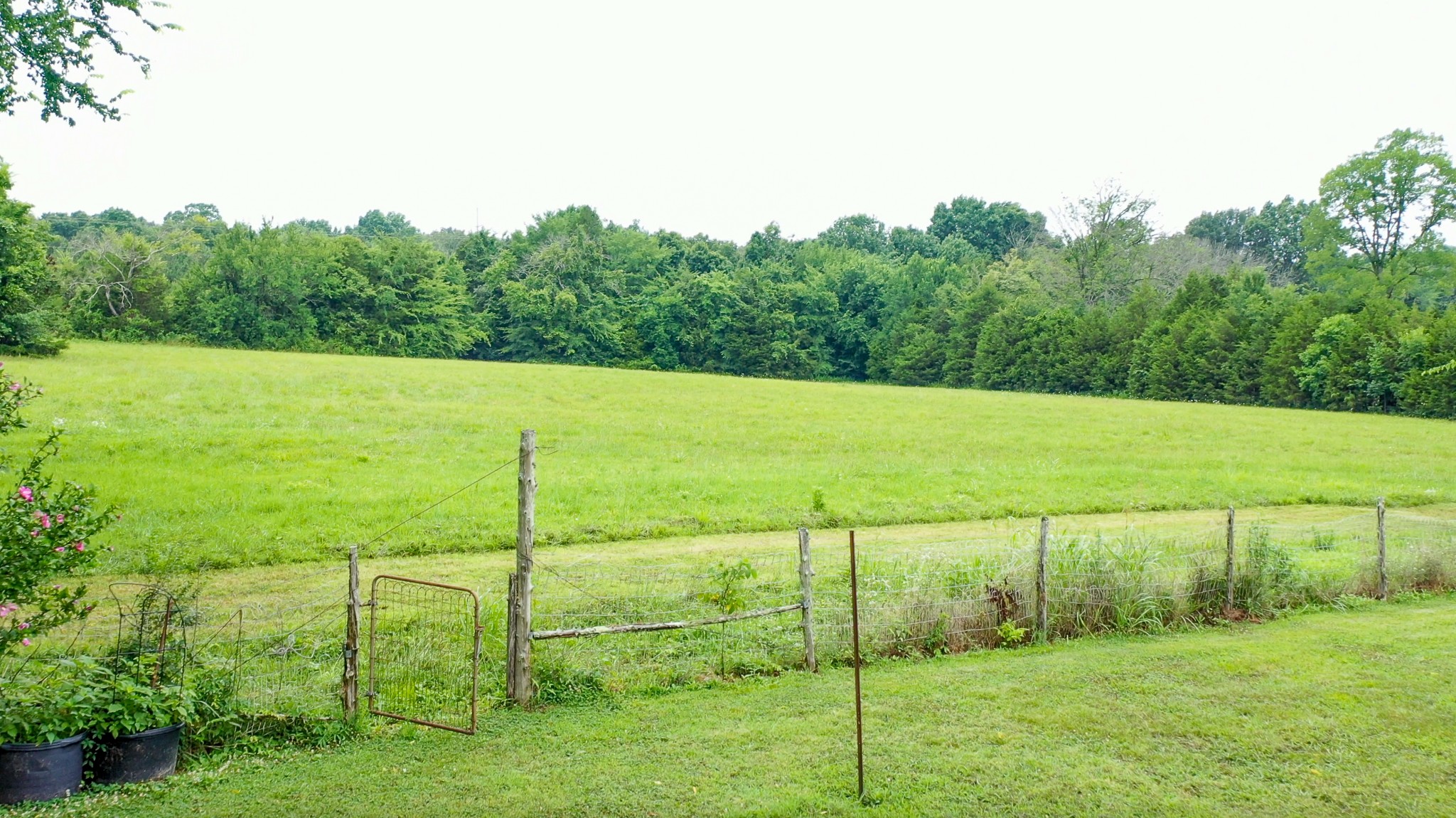 1491 Springplace Road Lewisburg, TN 37091 - Photo 24 of 40 Gallery Image 24