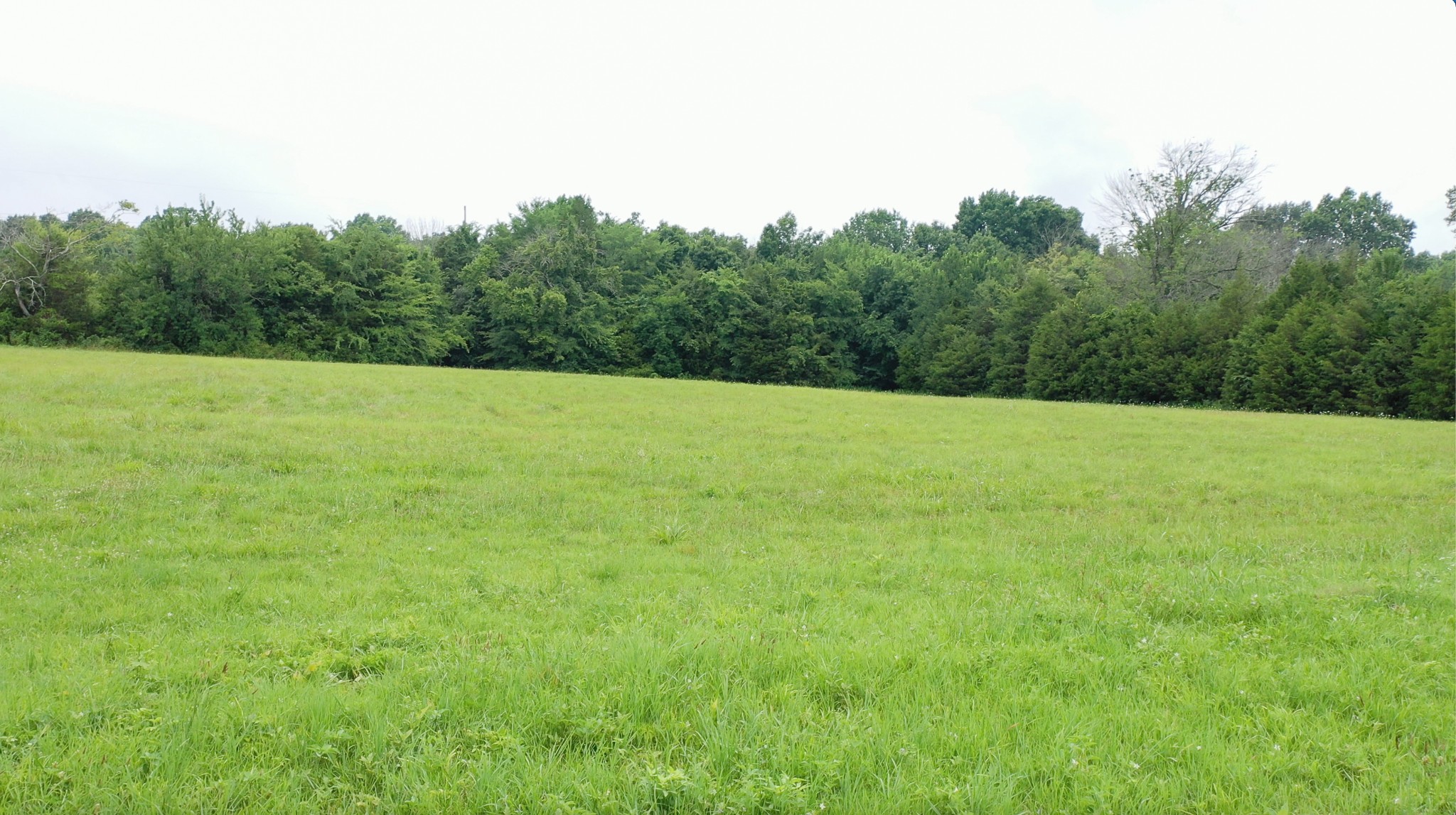 1491 Springplace Road Lewisburg, TN 37091 - Photo 26 of 40 Gallery Image 26