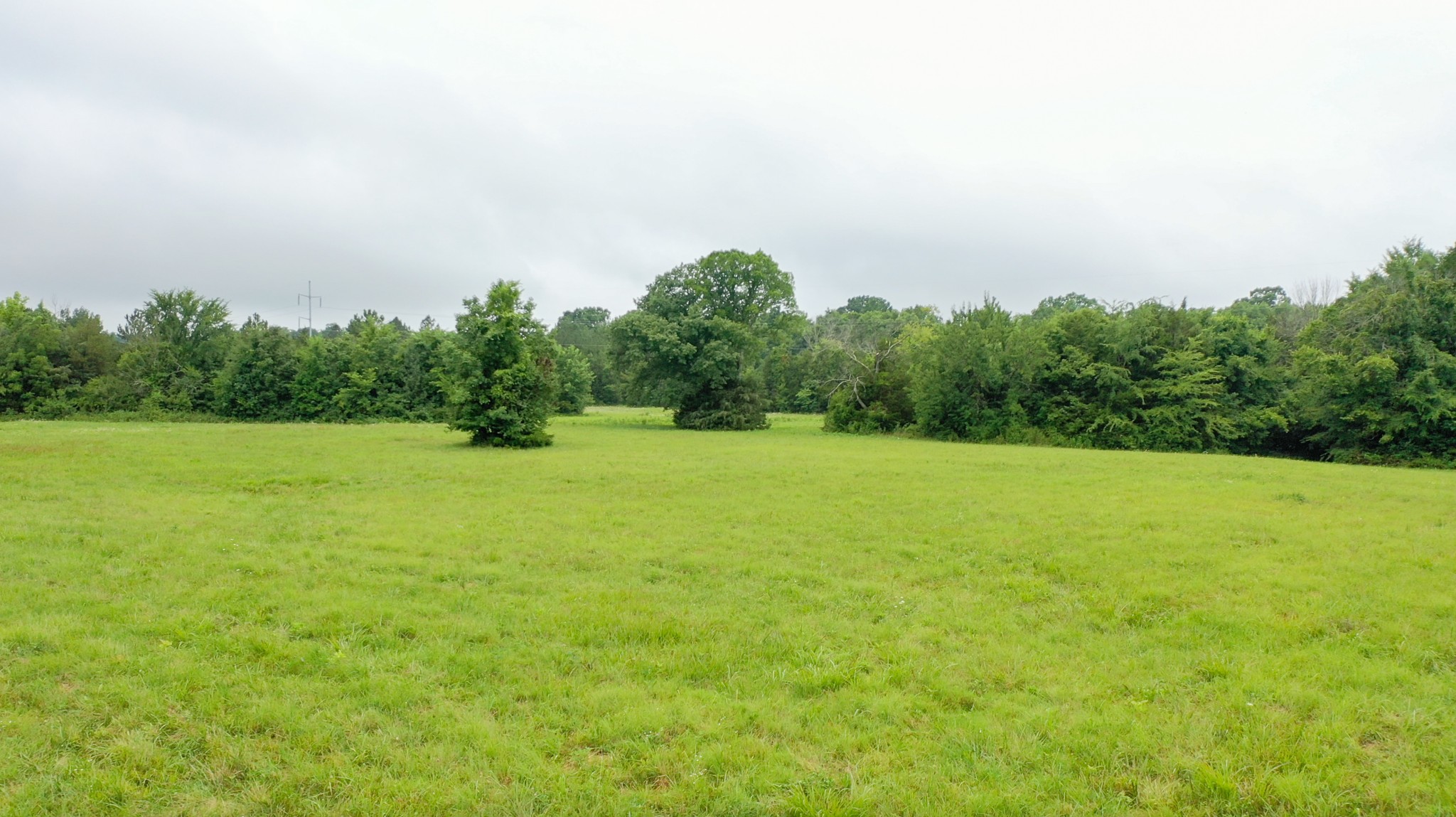 1491 Springplace Road Lewisburg, TN 37091 - Photo 27 of 40 Gallery Image 27