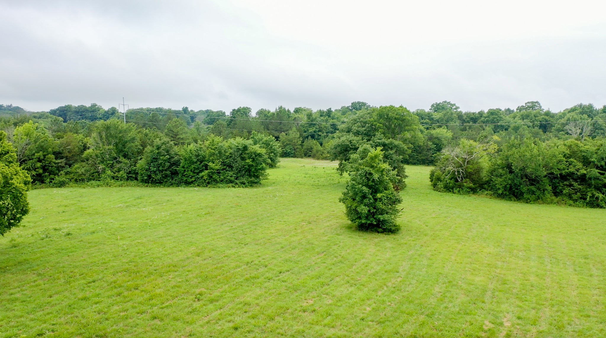 1491 Springplace Road Lewisburg, TN 37091 - Photo 4 of 40 Gallery Image 4