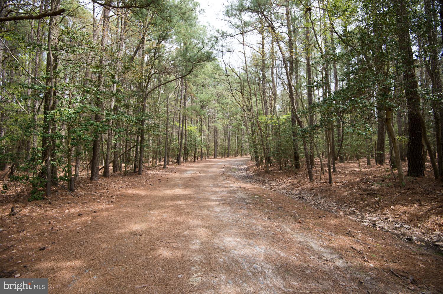 5525 Cassons Neck Road Cambridge, MD 21613 - Photo 6 of 30 Seaview Drive R.O.W leading to Hudson Creek