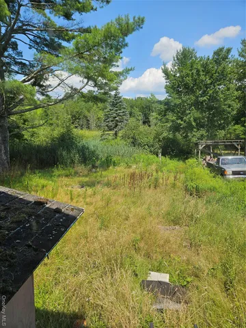 a view of a garden with an outdoor space