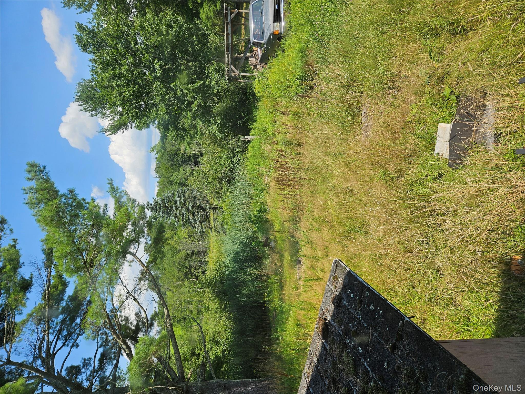 625 Briscoe Road Swan Lake, NY 12783 - Photo 14 of 19 View of yard featuring a wooded view