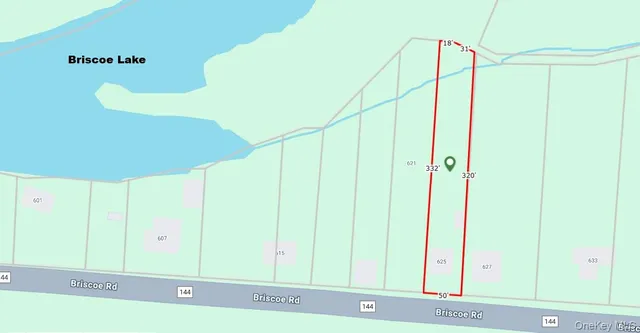 $99,000 | 625 Briscoe Road, Swan Lake, NY 12783
