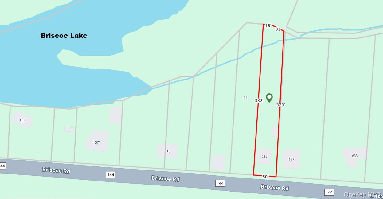 625 Briscoe Road Swan Lake, NY 12783 - Photo 19 of 19 Approximate property boundaries