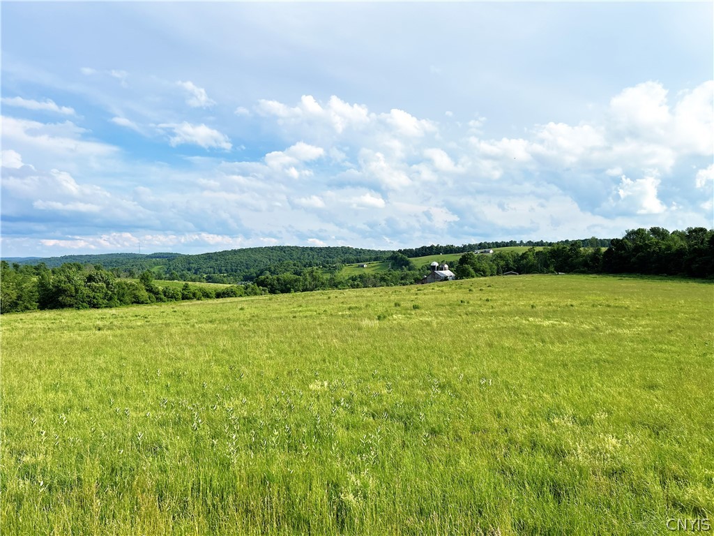 4891 Telephone Road Taylor, NY 13040 - Photo 30 of 42