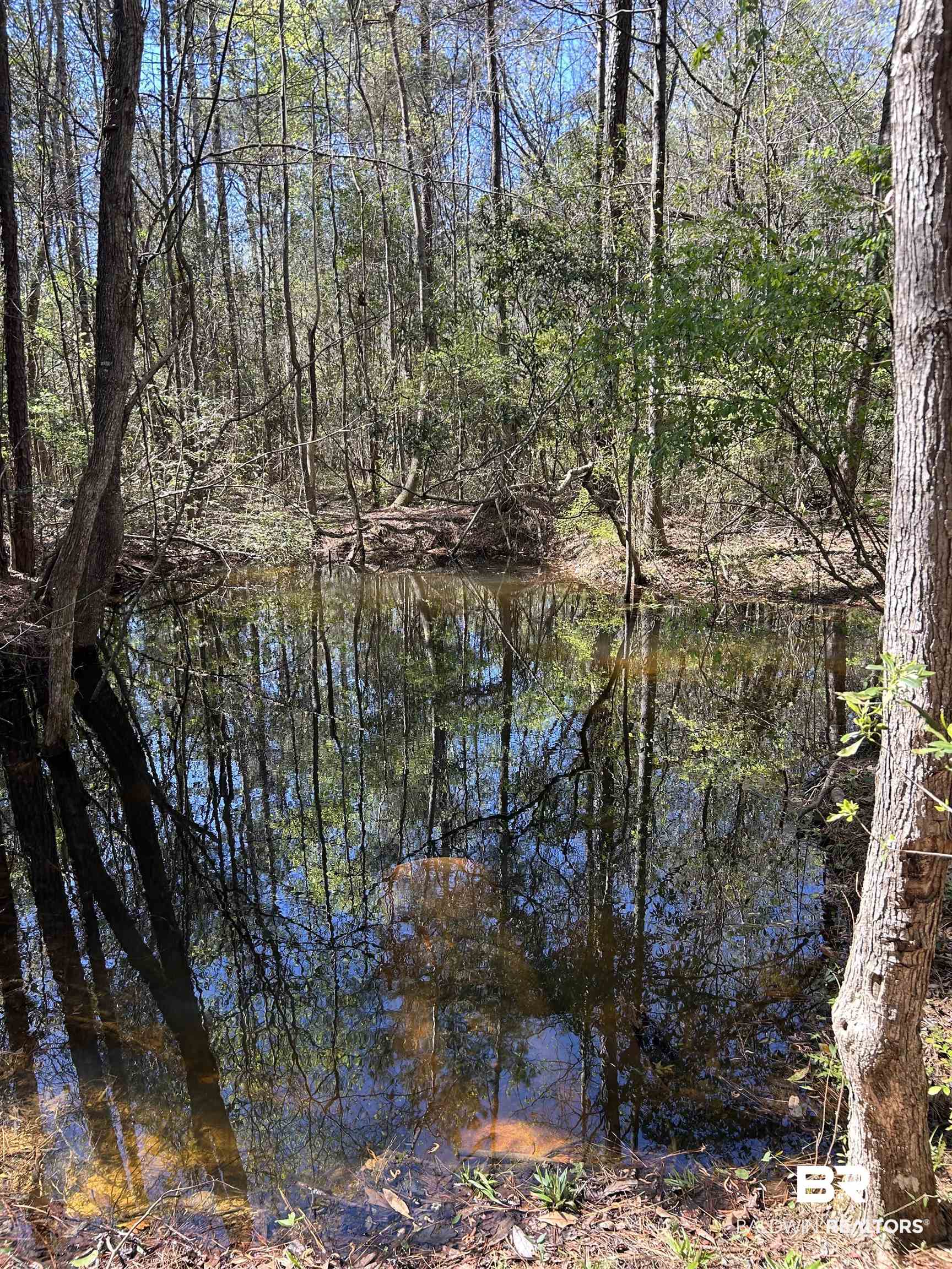 0 Fleming Lane Brewton, AL 36426 - Photo 11 of 18 Water view