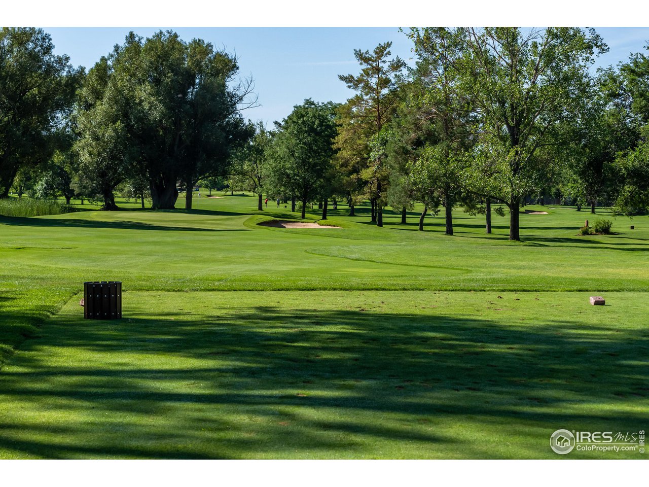 6922 Frying Pan Road Boulder, CO 80301 - Photo 17 of 39 a view of a grassy field with trees