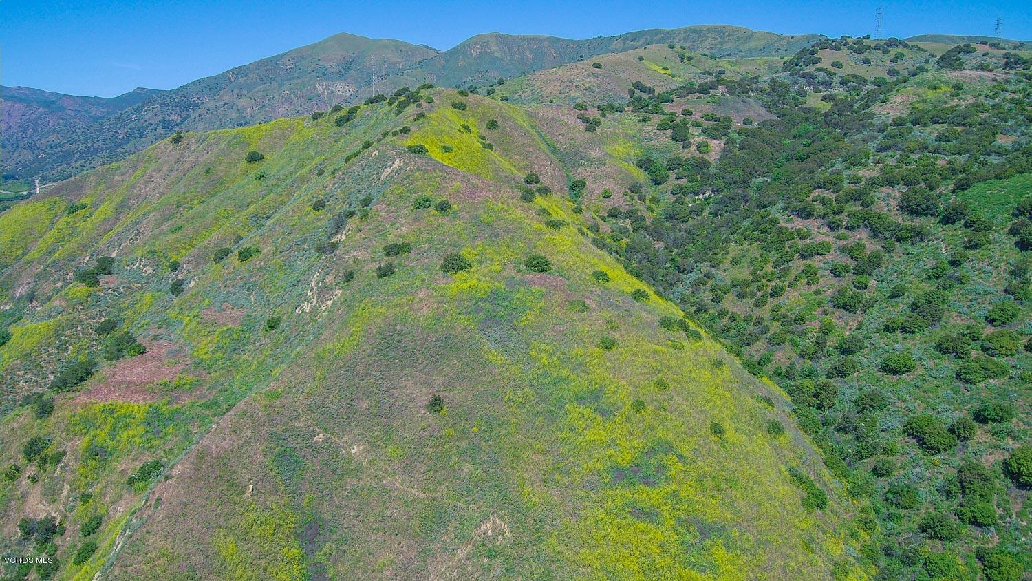 1280 Goodenough Road Fillmore, CA 93015 - Photo 67 of 74 1280Goodenough-77