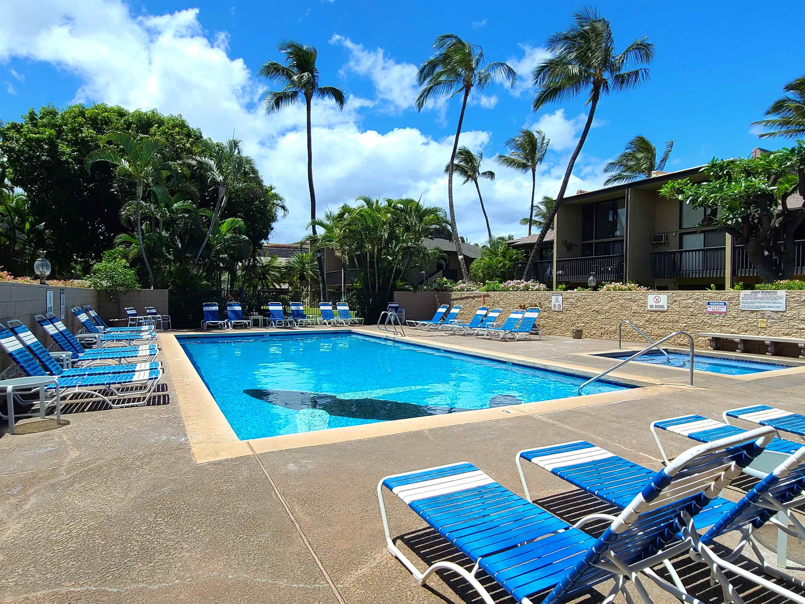 1299 Uluniu Road, Unit G207 Kihei, HI 96753 - Photo 40 of 50