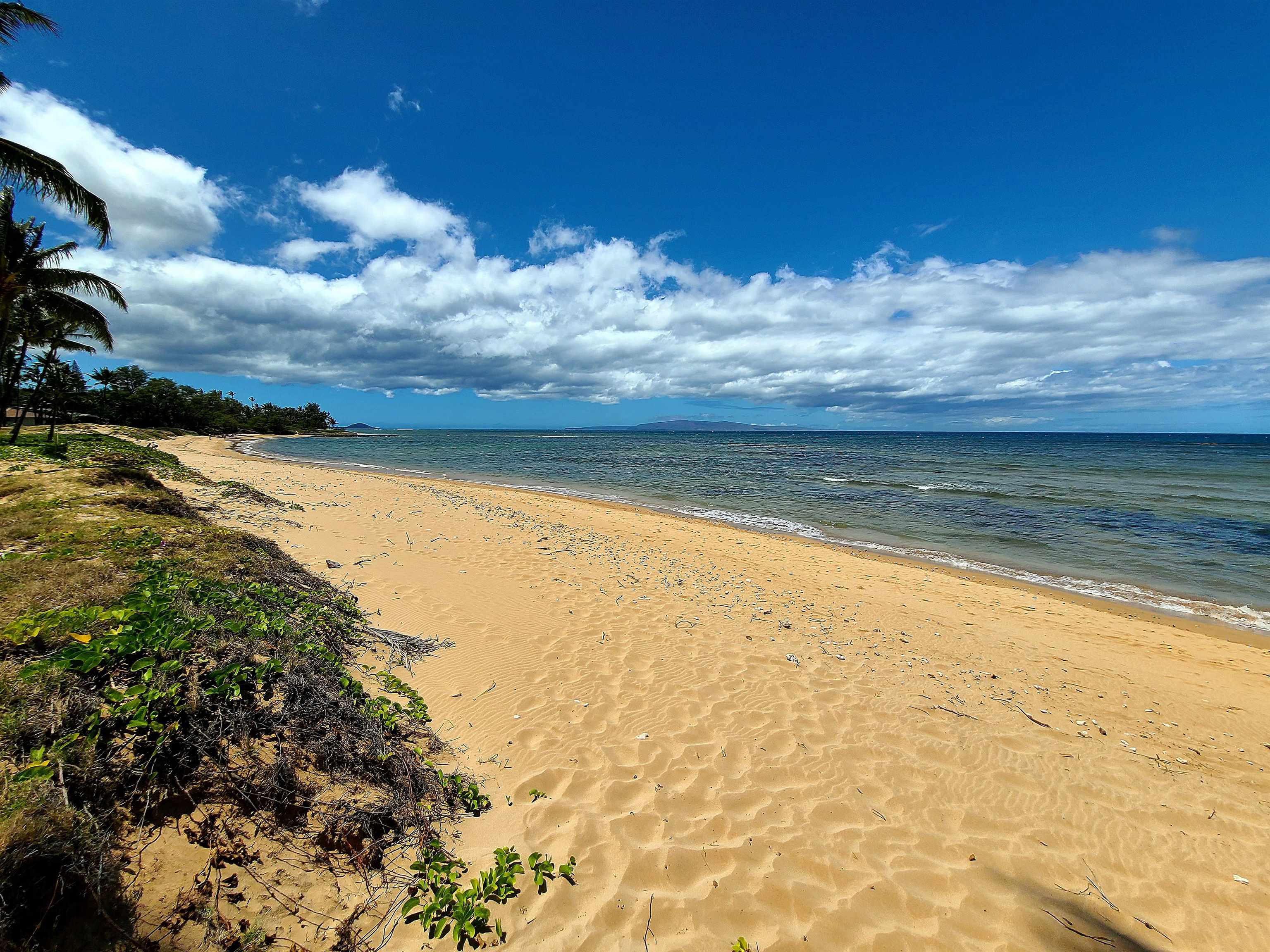 1299 Uluniu Road, Unit G207 Kihei, HI 96753 - Photo 48 of 50