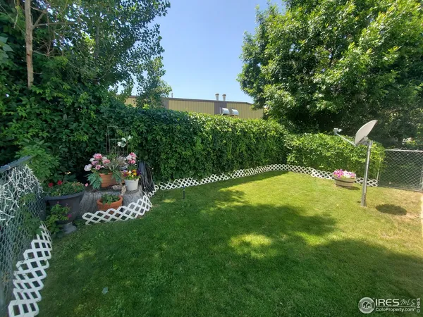a view of yard with swimming pool and green space