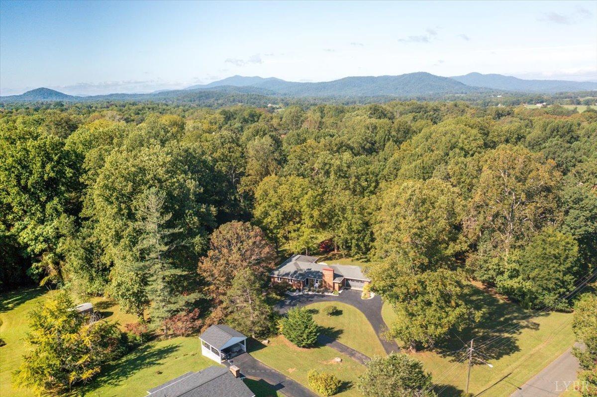 159 Blue Ridge Lane Amherst, VA 24521 - Photo 58 of 71