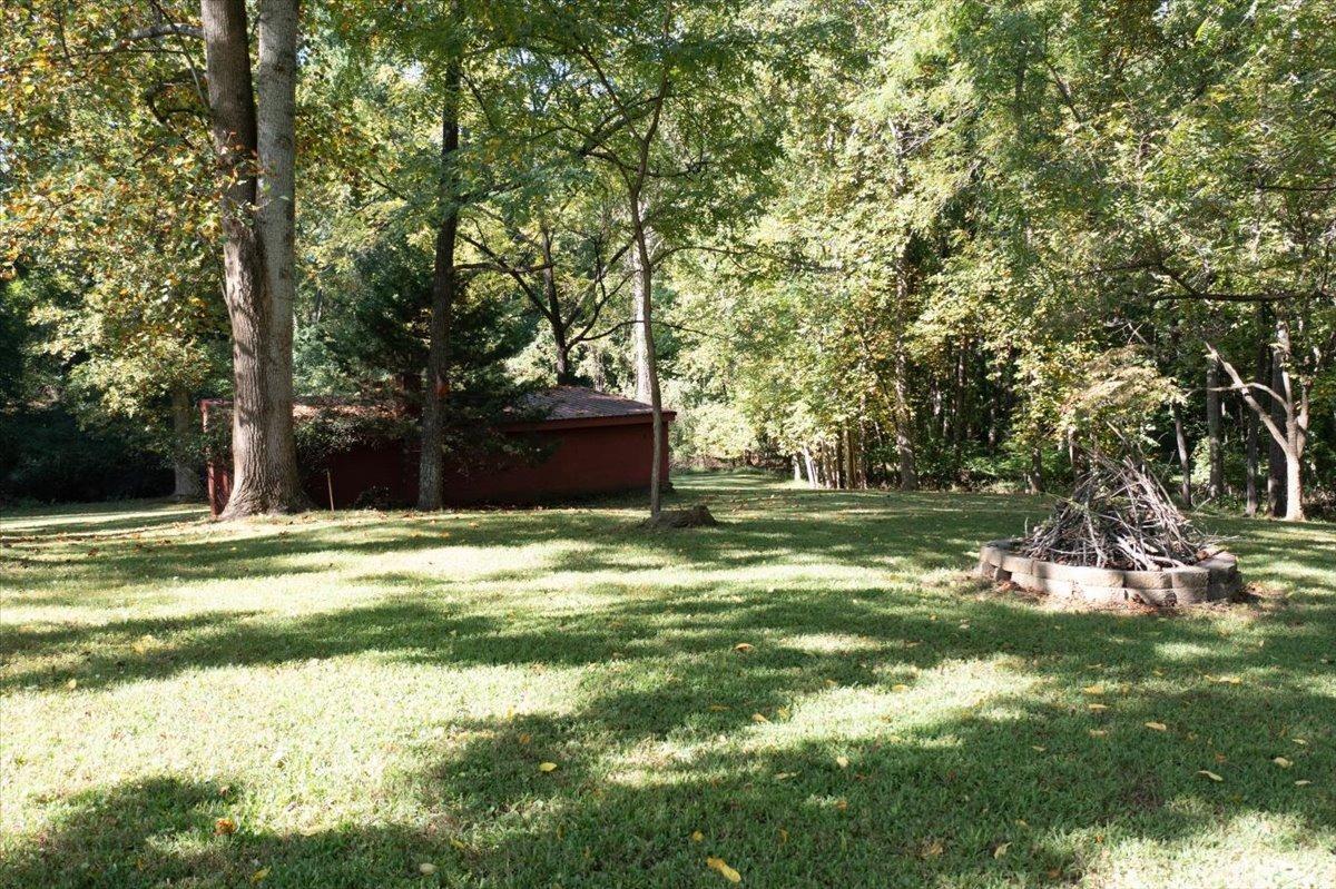159 Blue Ridge Lane Amherst, VA 24521 - Photo 59 of 71 a view of a trees in a yard