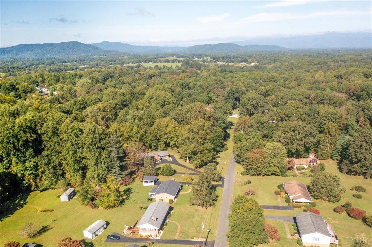 159 Blue Ridge Lane Amherst, VA 24521 - Photo 65 of 71 an aerial view of residential houses with outdoor space
