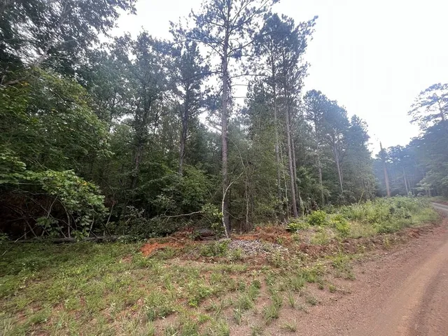 $115,500 | 57 Fm 1751, Bronson, TX 75930