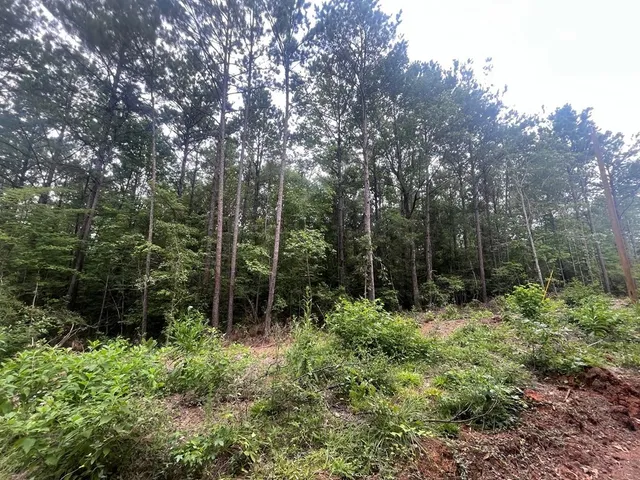 $115,500 | 57 Fm 1751, Bronson, TX 75930