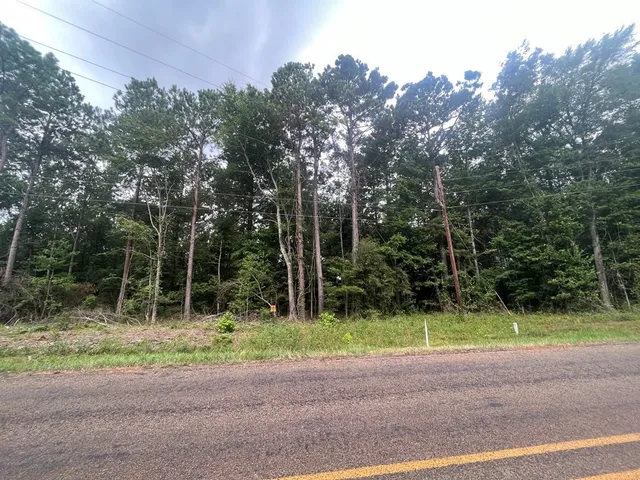 $115,500 | 57 Fm 1751, Bronson, TX 75930