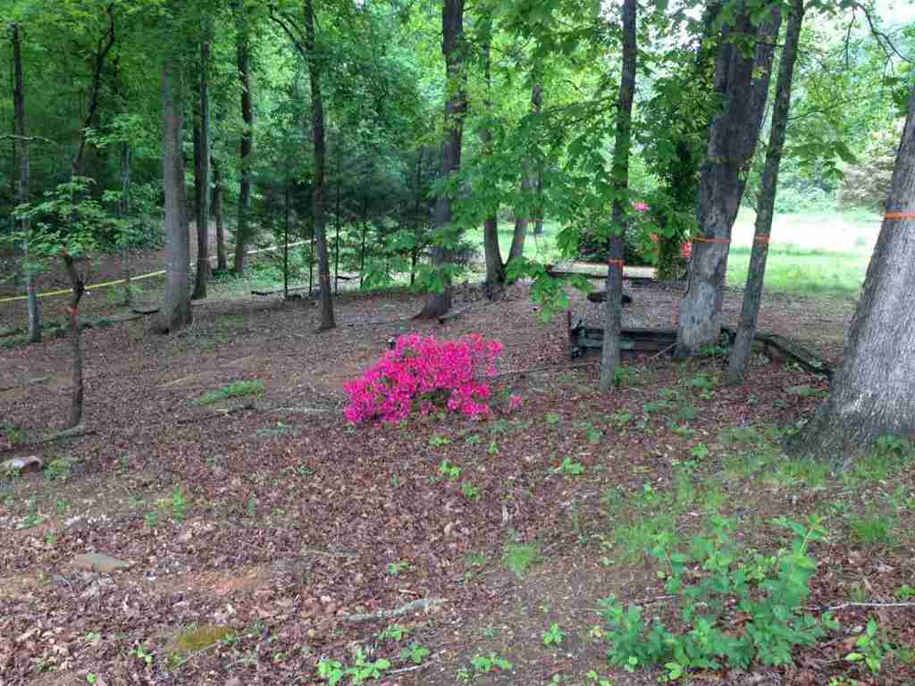 298 Sugarhill Road Seneca, SC 29672 - Photo 9 of 34 Gallery Image 9
