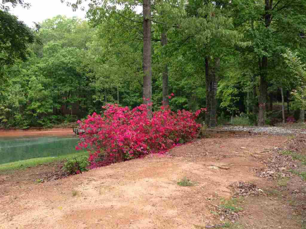 298 Sugarhill Road Seneca, SC 29672 - Photo 10 of 34 Gallery Image 10