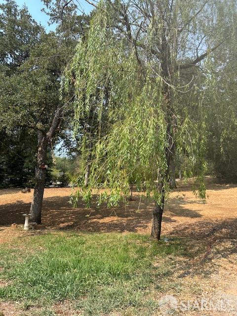 19481 Rambling Oak Drive Redding, CA 96003 - Photo 27 of 62 a view of dirt yard with a tree