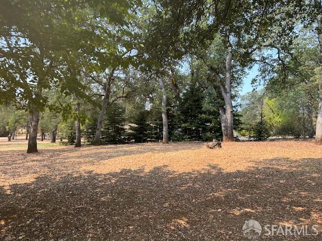 19481 Rambling Oak Drive Redding, CA 96003 - Photo 44 of 62 a view of empty space with trees