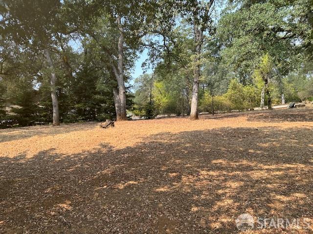 19481 Rambling Oak Drive Redding, CA 96003 - Photo 46 of 62