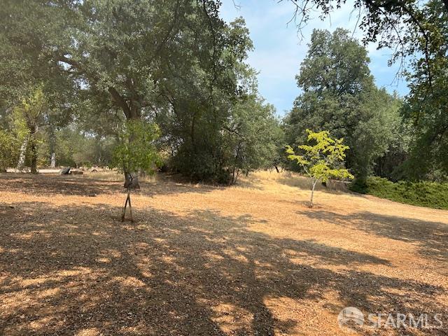 19481 Rambling Oak Drive Redding, CA 96003 - Photo 47 of 62 a view of empty space with trees