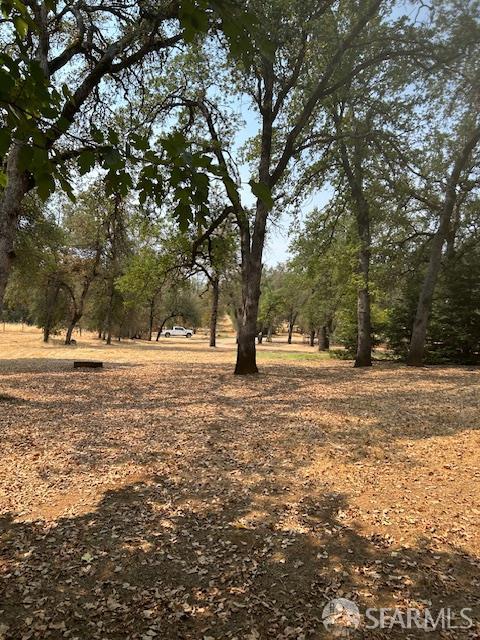 19481 Rambling Oak Drive Redding, CA 96003 - Photo 48 of 62 a view of outdoor space with trees