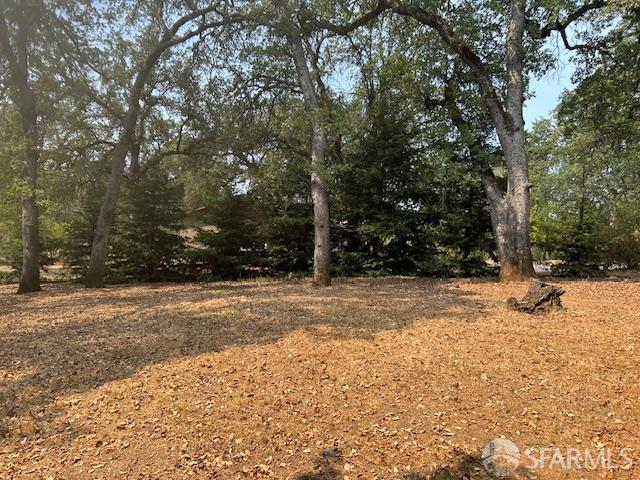 19481 Rambling Oak Drive Redding, CA 96003 - Photo 49 of 62 a view of a yard with snow on road