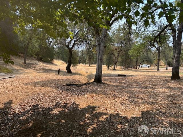19481 Rambling Oak Drive Redding, CA 96003 - Photo 50 of 62 a view of road with trees