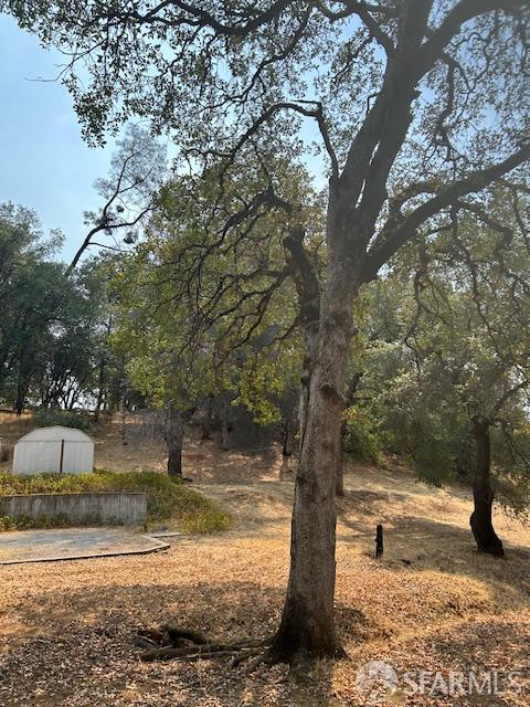 19481 Rambling Oak Drive Redding, CA 96003 - Photo 51 of 62 a view of a yard with large trees