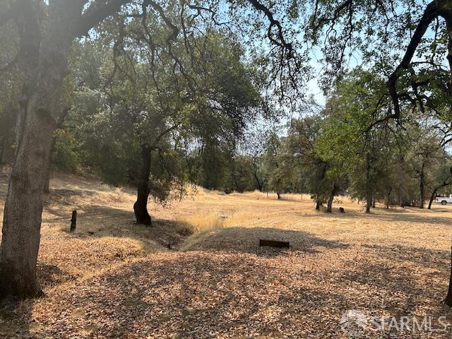 19481 Rambling Oak Drive Redding, CA 96003 - Photo 52 of 62 a view of a snow on the middle of a yard